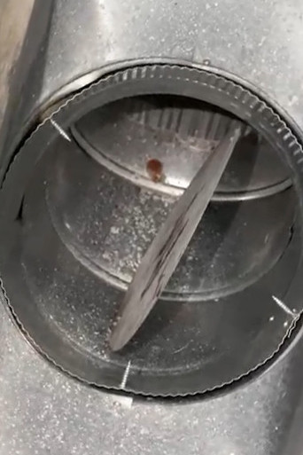 contact about air duct cleaning ca dryer vent cleaning ca air duct cleaning in irvine dryer vent cleaning in irvine contact about air duct cleaning ca dryer vent cleaning ca air duct cleaning in irvine dryer vent cleaning in irvine